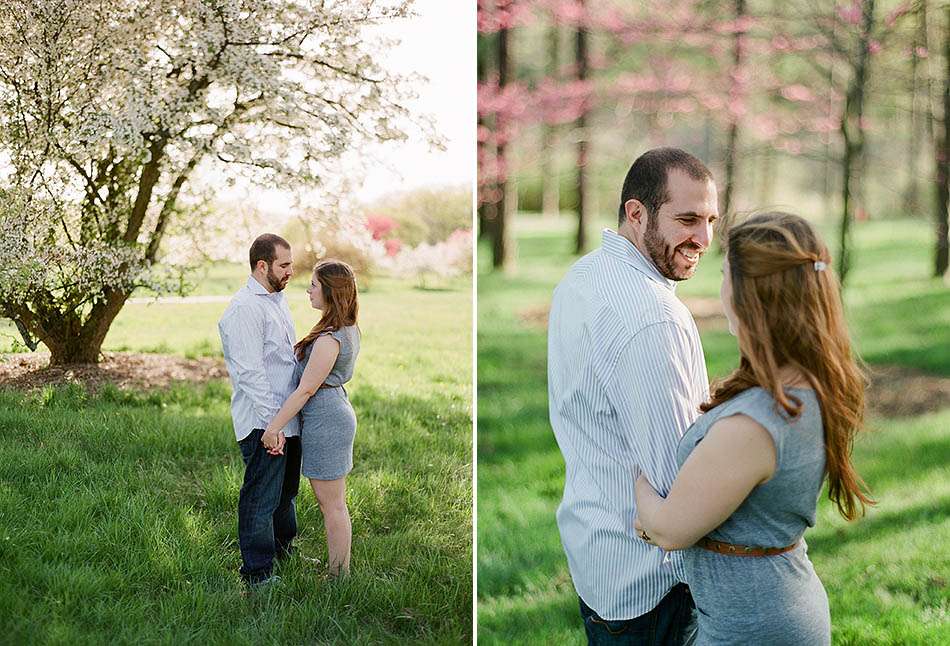 A sunset engagement session at Holden Arboretum with Erica and Seth