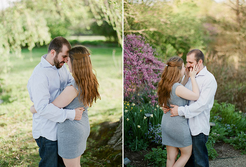 A sunset engagement session at Holden Arboretum with Erica and Seth