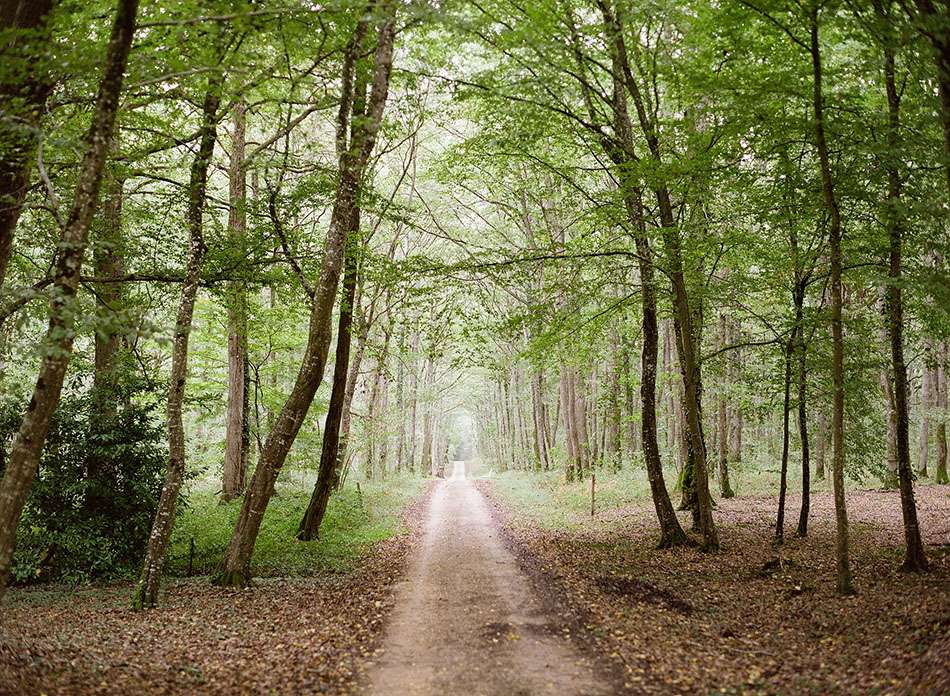 Europe travel photography from the Loire Valley, France captured in film