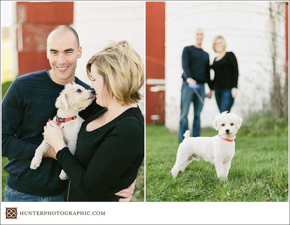 Our best friends - dogs from engagement sessions