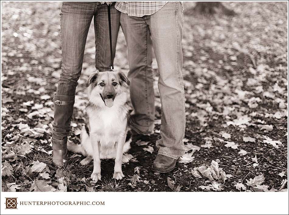 Our best friends - dogs from engagement sessions