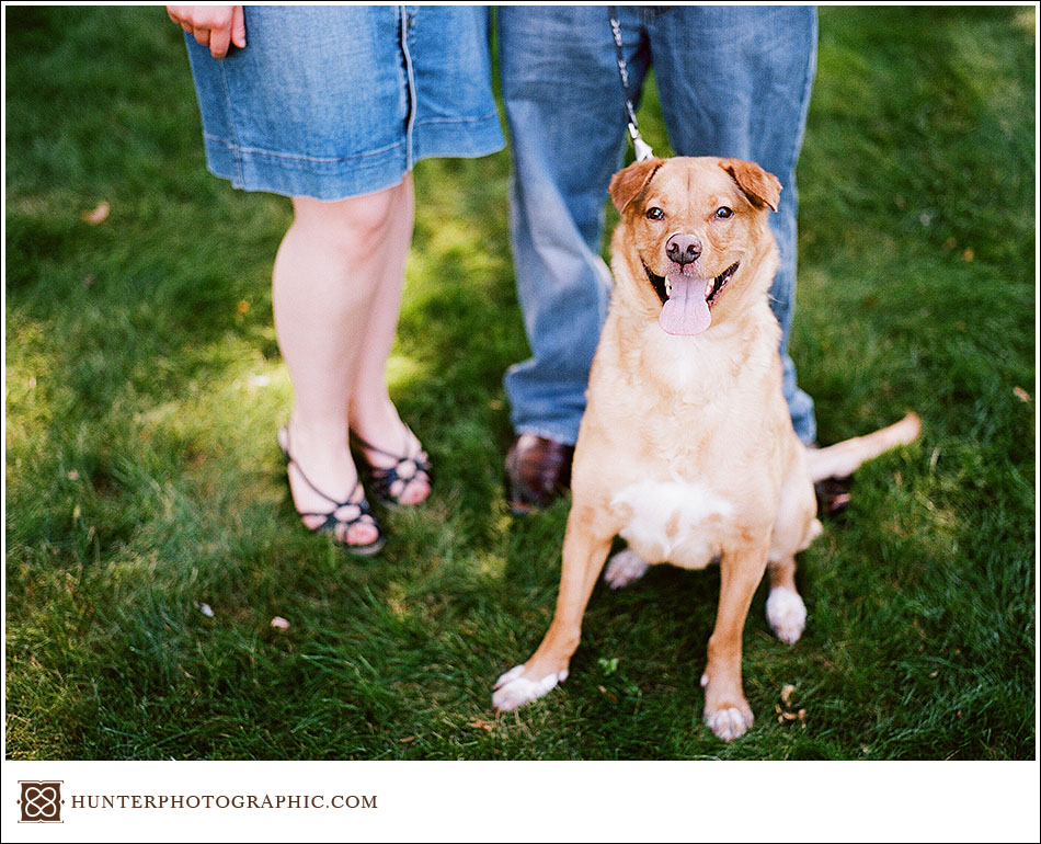 Our best friends - dogs from engagement sessions