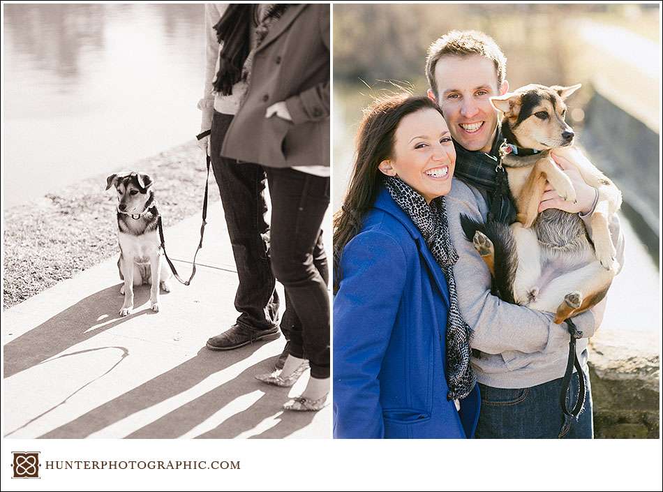 Our best friends - dogs from engagement sessions