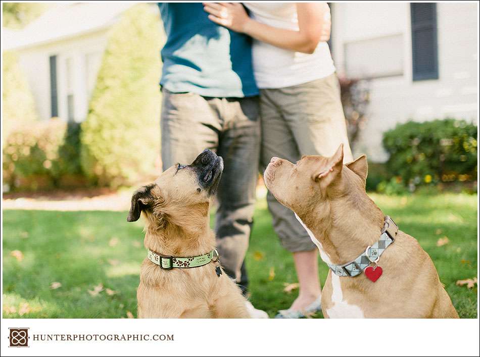 Our best friends - dogs from engagement sessions