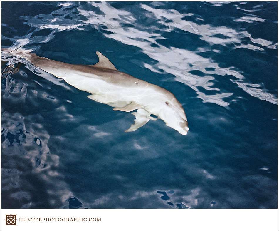 Sailing Grenada on Film