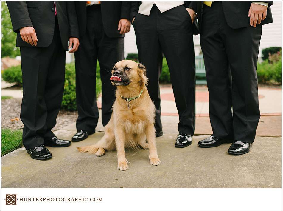 Highlights from Erika and Scott's wedding at Lyndhurst Community Presbyterian Church.