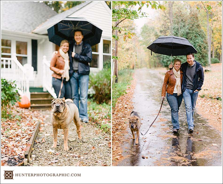 Our best friends - dogs from engagement sessions