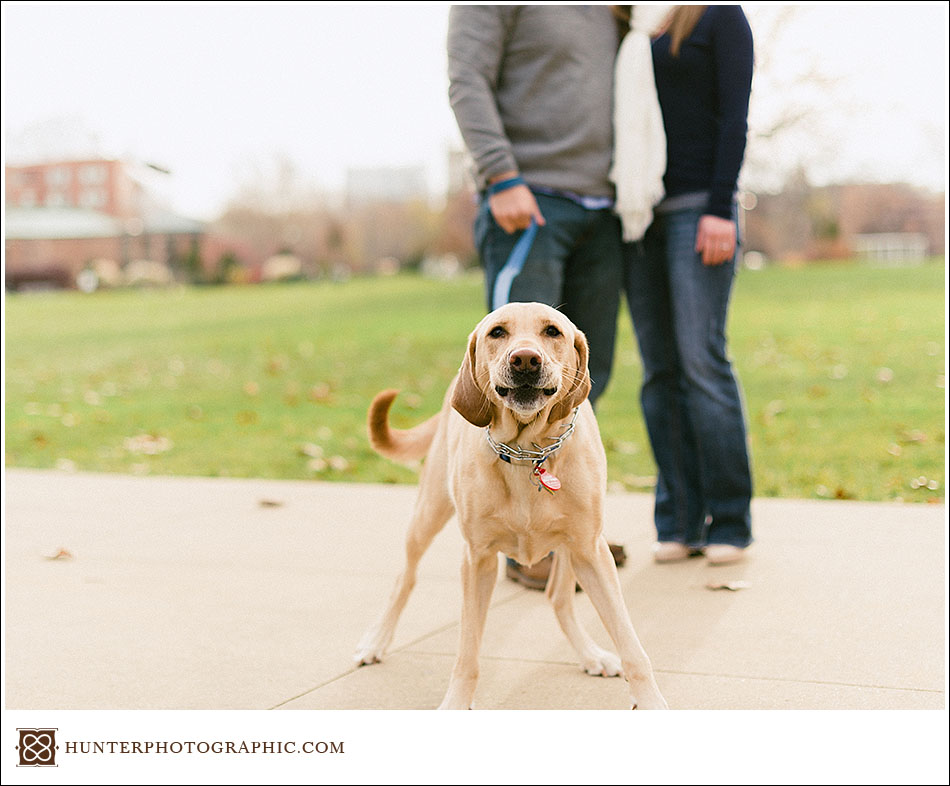 Our best friends - dogs from engagement sessions