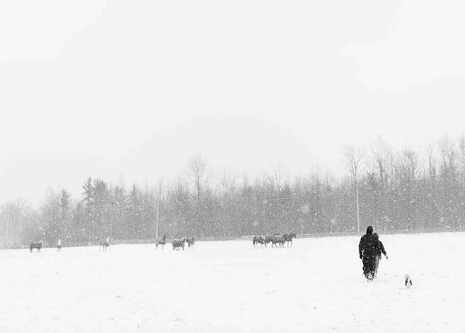 A winter engagement session with Carolyn and Jason in Kirtland Hills