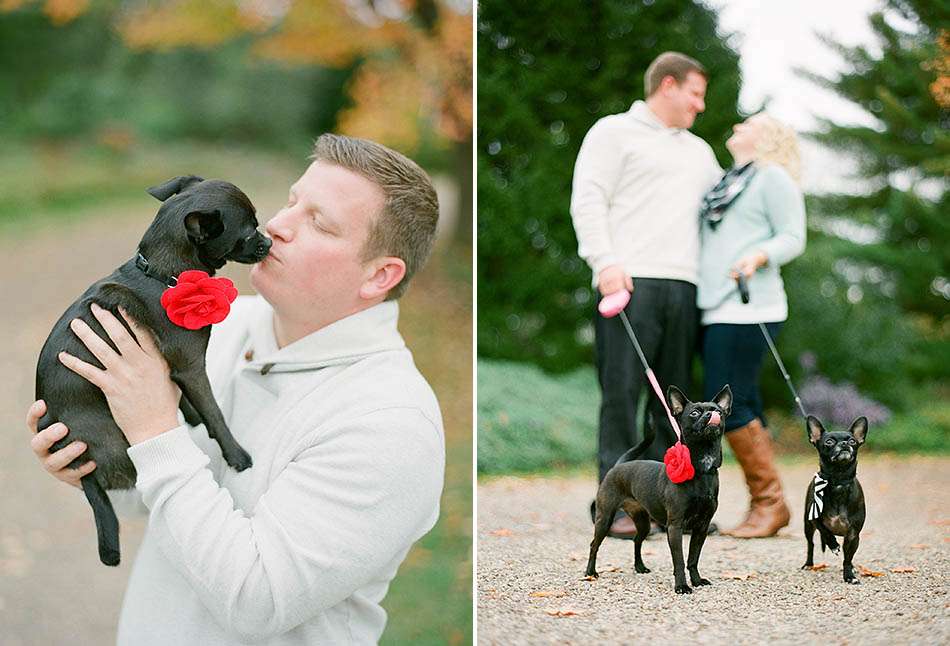 Autumn engagement session at Holden Arboretum with Katie and Joe