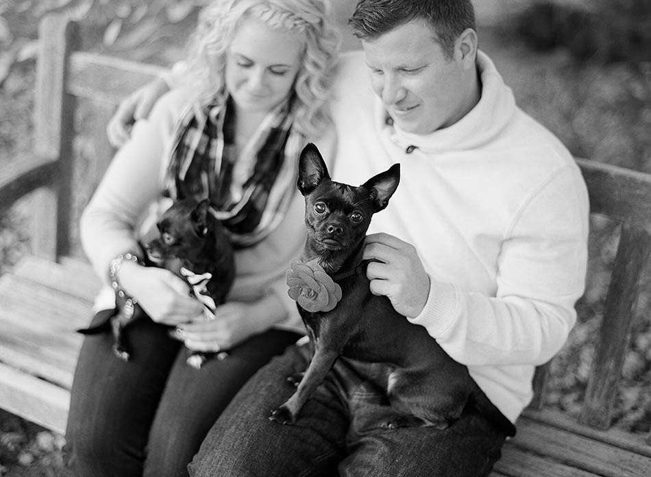 Autumn engagement session at Holden Arboretum with Katie and Joe