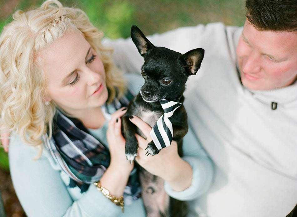 Autumn engagement session at Holden Arboretum with Katie and Joe
